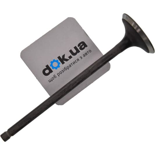 R4895/RNT Freccia Выпускной клапан