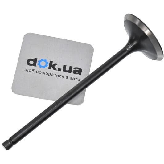 R4894/SNT Freccia Впускний клапан