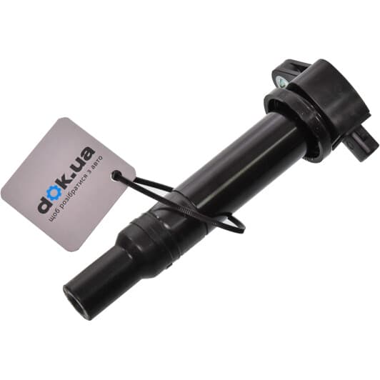 ECI00001Y Mando Котушка запалювання