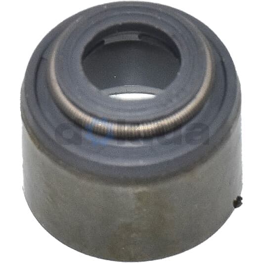 70-52906-00 Reinz Сальник клапана