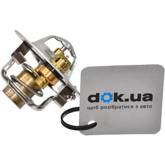 WW54EM88A Tama Термостат