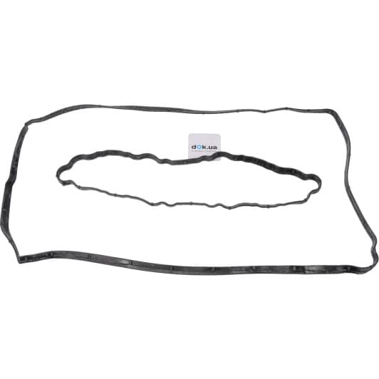 15-40664-01 Reinz Комплект прокладок клапанной крышки