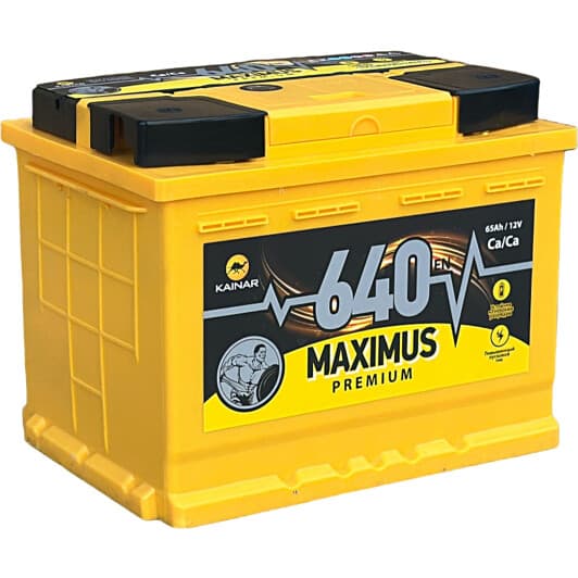 Аккумулятор Maximus 6 CT-65-R Maximus Premium 00151495