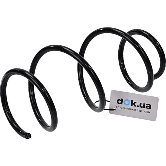 74746 Asam Пружина підвіски