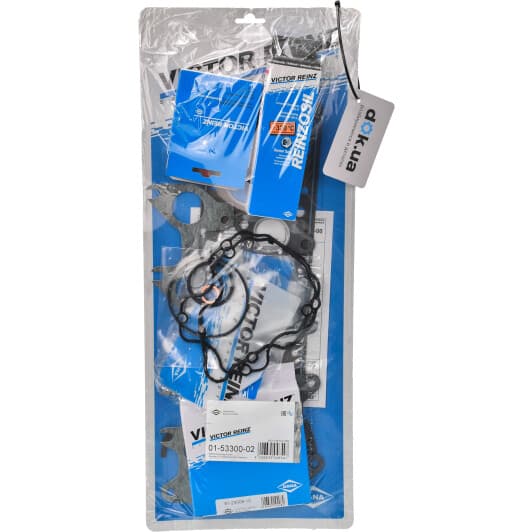 01-53300-02 Reinz Комплект прокладок полный