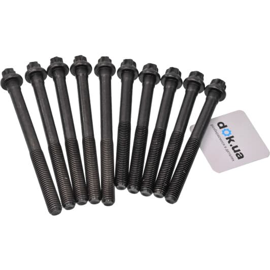 81002900 Ajusa Болт ГБЦ