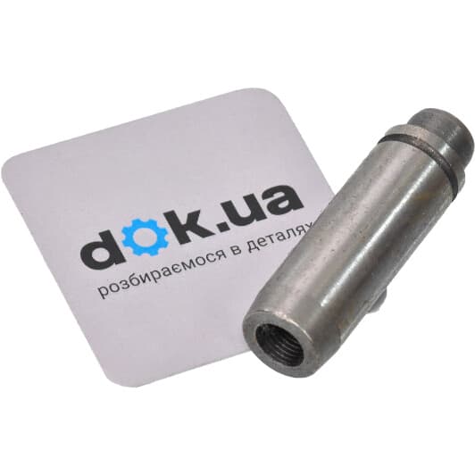 81-17119 TRW Направляющая клапана