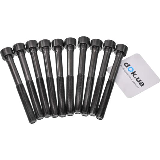 14-55036-01 Reinz Болт ГБЦ