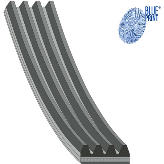 AD04R613 Blue Print Поликлиновой ремень