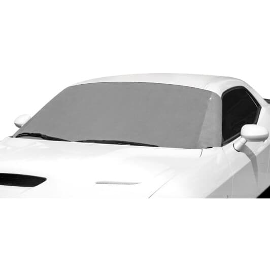 Сонцезахисна шторка Carpassion 100111 175x95 Екран