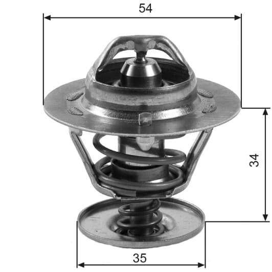 TH11383G1 Gates Термостат