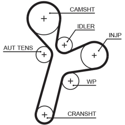 5634XS Gates Ремень ГРМ
