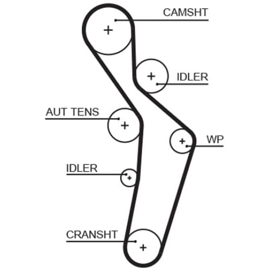 5616XS Gates Ремень ГРМ