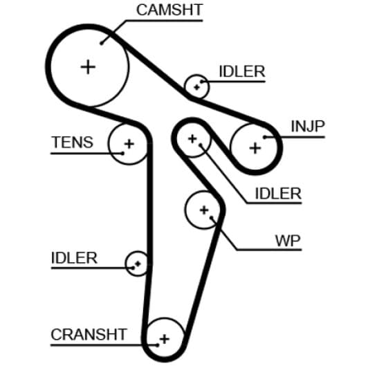5648XS Gates Ремінь ГРМ