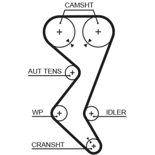 5528XS Gates Ремінь ГРМ