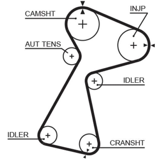 5561XS Gates Ремінь ГРМ