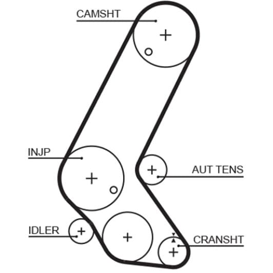 5595XS Gates Ремінь ГРМ