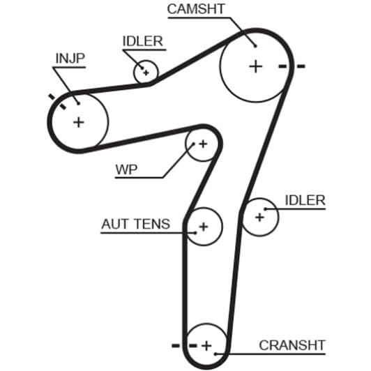 5663XS Gates Ремінь ГРМ