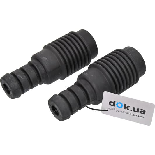 rk12025 RAISO Комплект (пильники + відбійники)