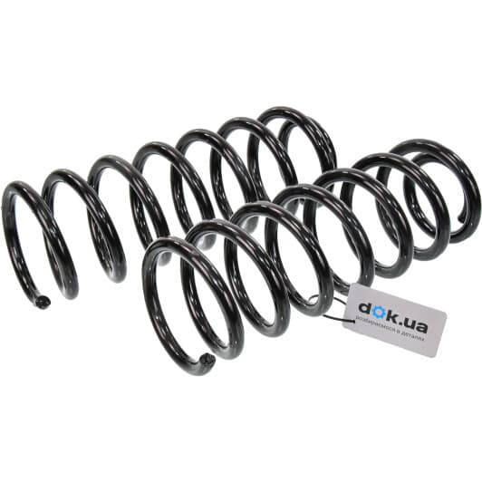 sr029tp RAISO Пружина підвіски для Audi 100