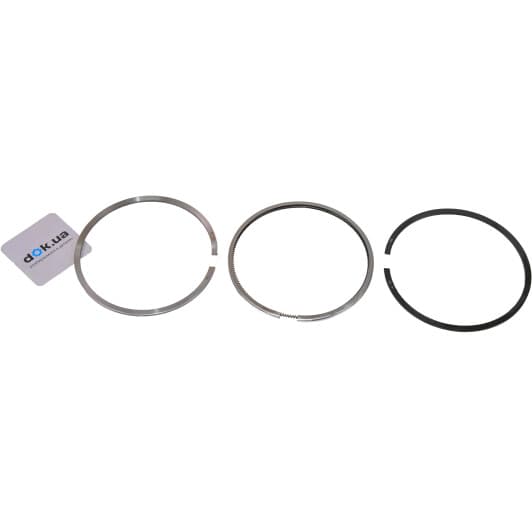 fr10216100 Freccia Комплект поршневих кілець