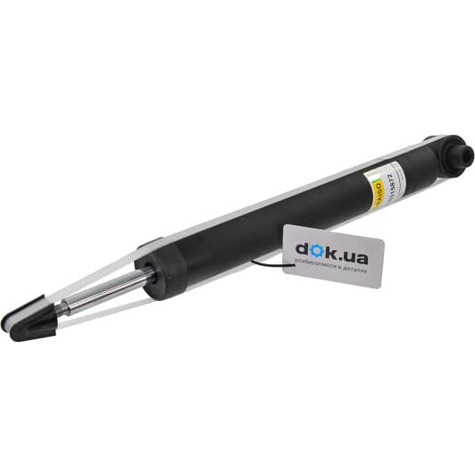 rs315872 RAISO Амортизатор