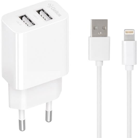 Сетевое зарядное устройство Gelius Simple GP-HC059 100447 12 Вт