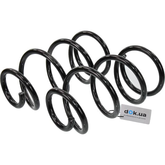 sf203tp RAISO Пружина підвіски