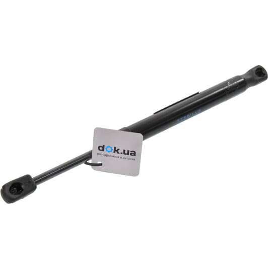 B18438 Borsehung Газовий упор багажника