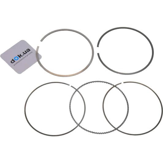 120010007300 NPR Комплект поршневих кілець