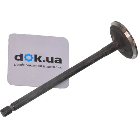 R6700/RNT Freccia Впускной клапан