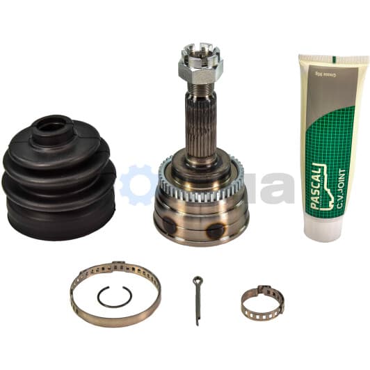 G10566PC Pascal ШРУС