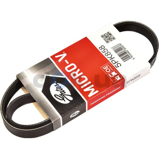 5PK858 Gates Поліклиновий ремінь