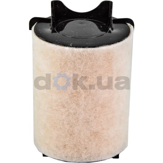 70283 Asam Воздушный фильтр