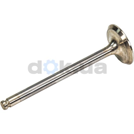 V017060 BGA Впускний клапан