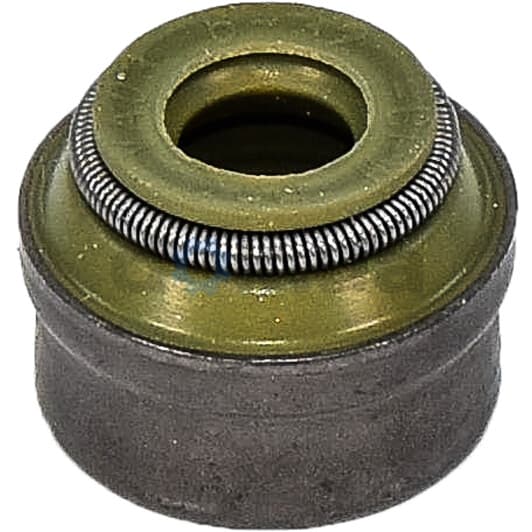 19036115 Corteco Комплект сальників клапанів