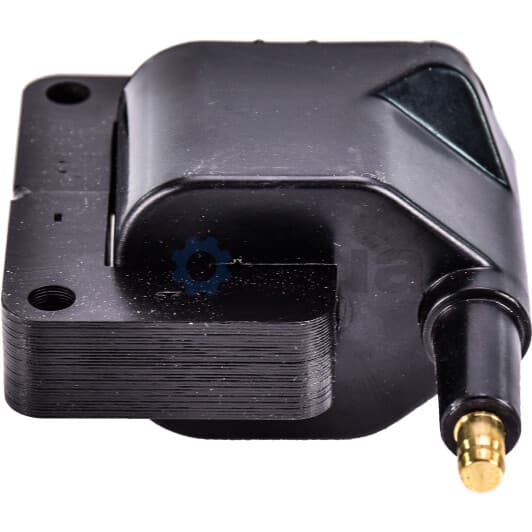 GN10172-12B1 Delphi Катушка зажигания