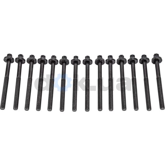 14-32004-01 Reinz Болт ГБЦ