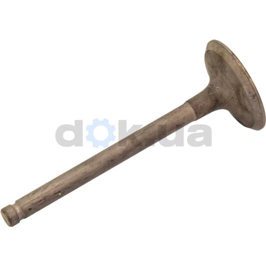 R4982/RNT Freccia Впускной клапан