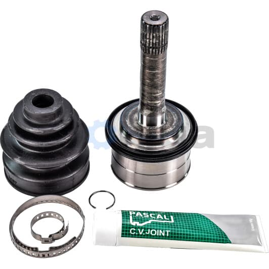 G10309PC Pascal ШРУС