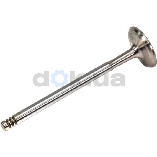 R6506/SCR Freccia Впускний клапан