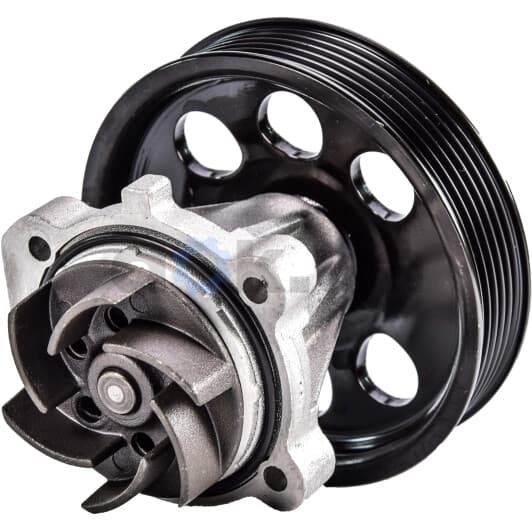 S233 Dolz Помпа