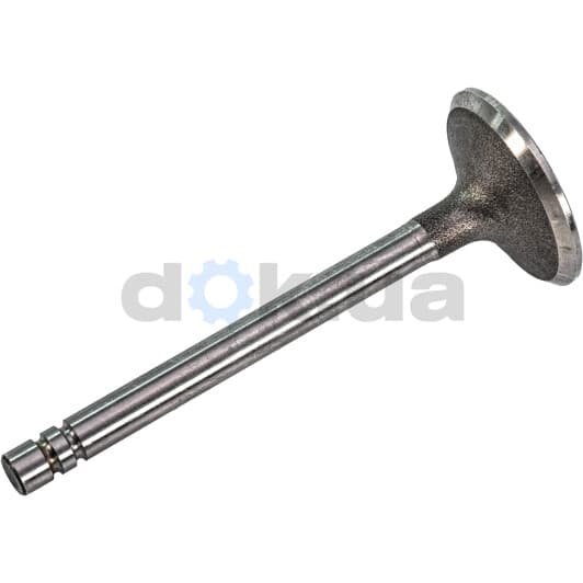 R4223/SCR Freccia Впускной клапан