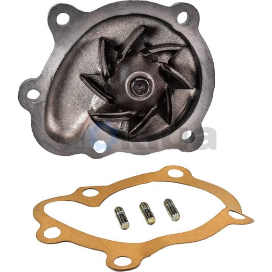 O144 Dolz Помпа