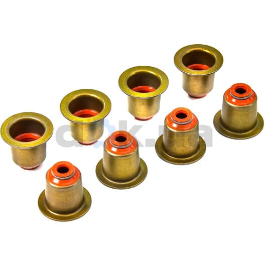 12-35172-01 Reinz Комплект сальников клапанов