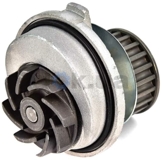 O117 Dolz Помпа