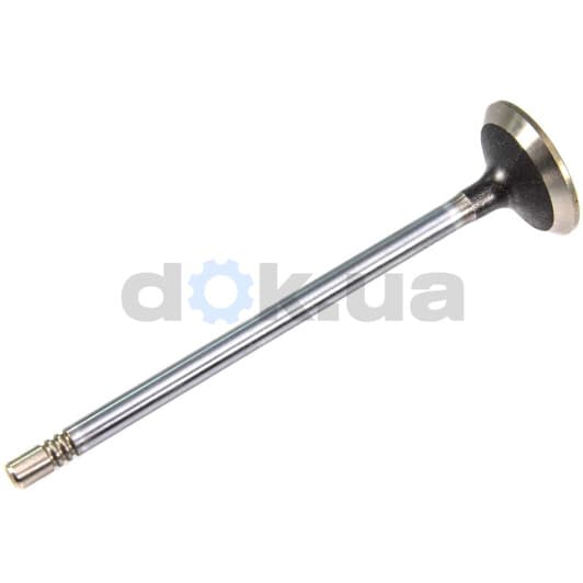 R6339/SCR Freccia Впускной клапан