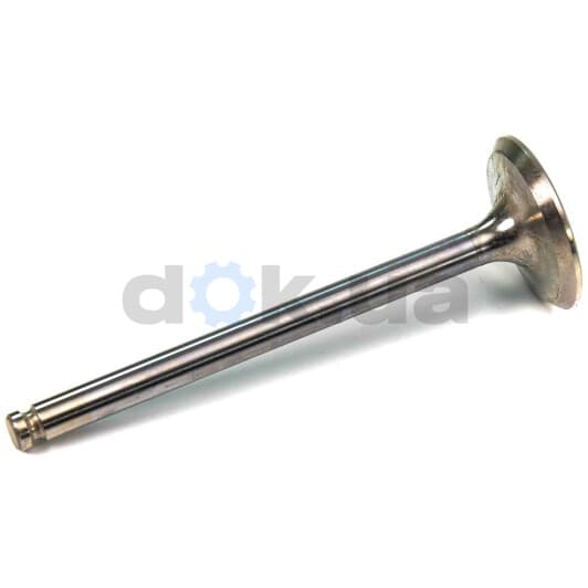 R4627/RCR Freccia Впускний клапан