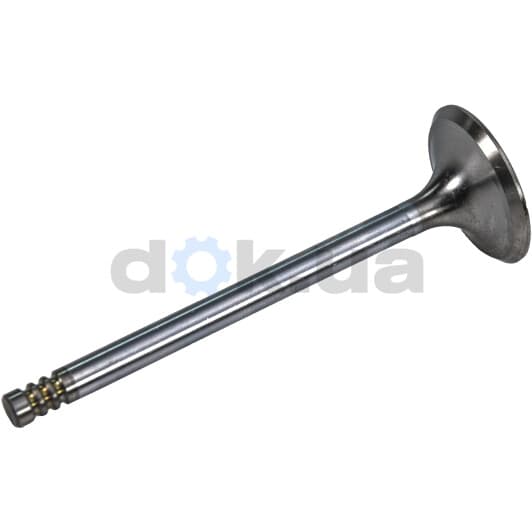 R4456/SCR Freccia Впускной клапан