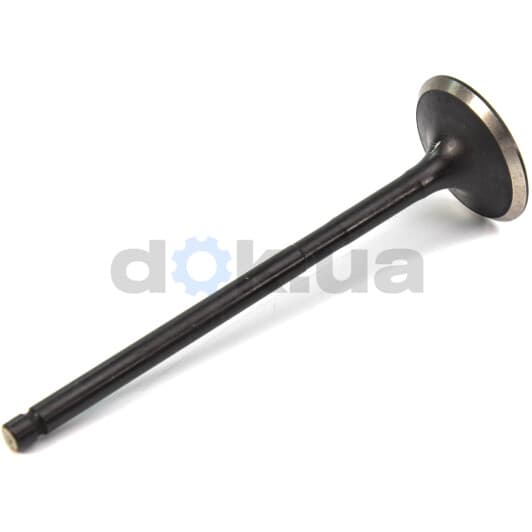 R6371/RNT Freccia Выпускной клапан